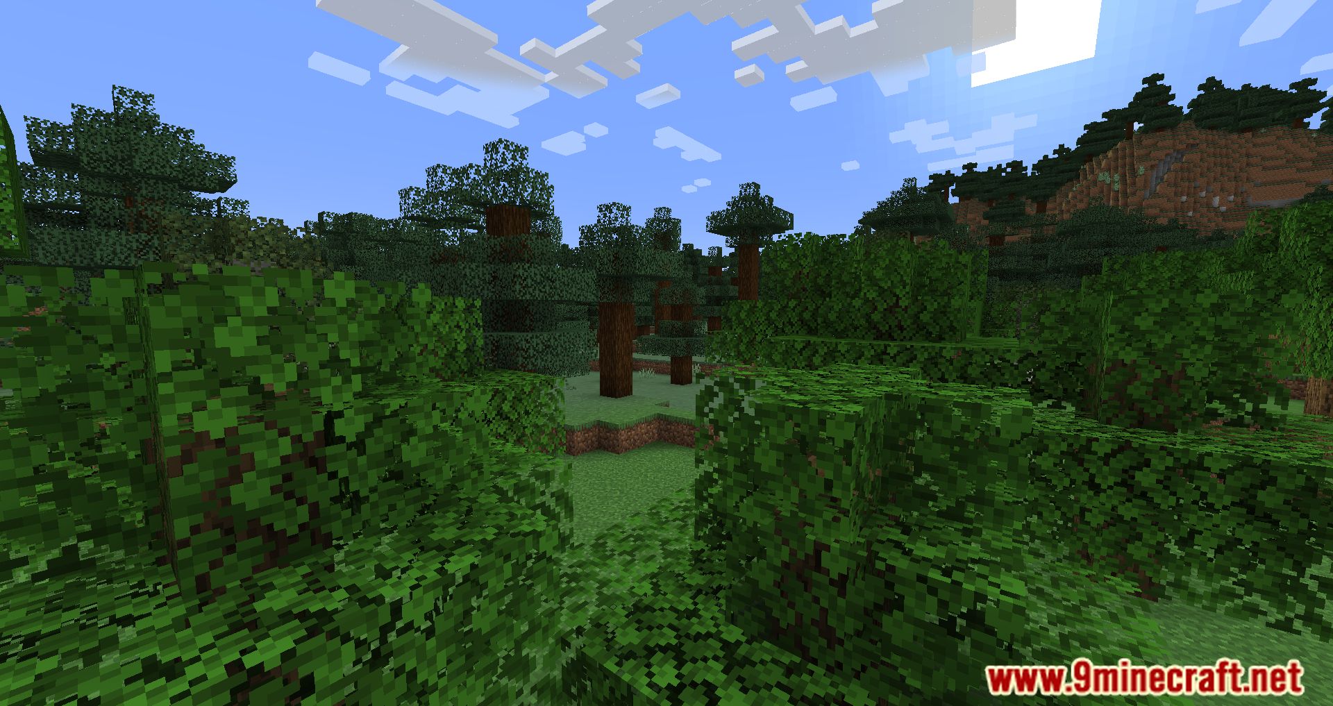 Cull Less Leaves Reforged Mod (1.20.2, 1.19.2) - Boosting Your Minecraft Visuals and Performance 5