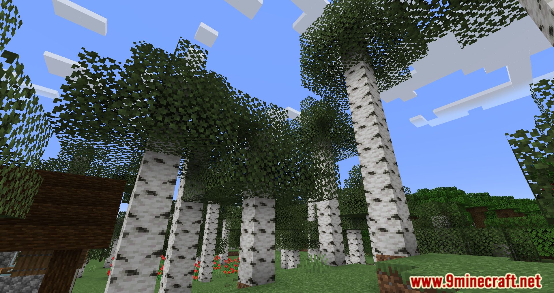 Cull Less Leaves Reforged Mod (1.20.2, 1.19.2) - Boosting Your Minecraft Visuals and Performance 7