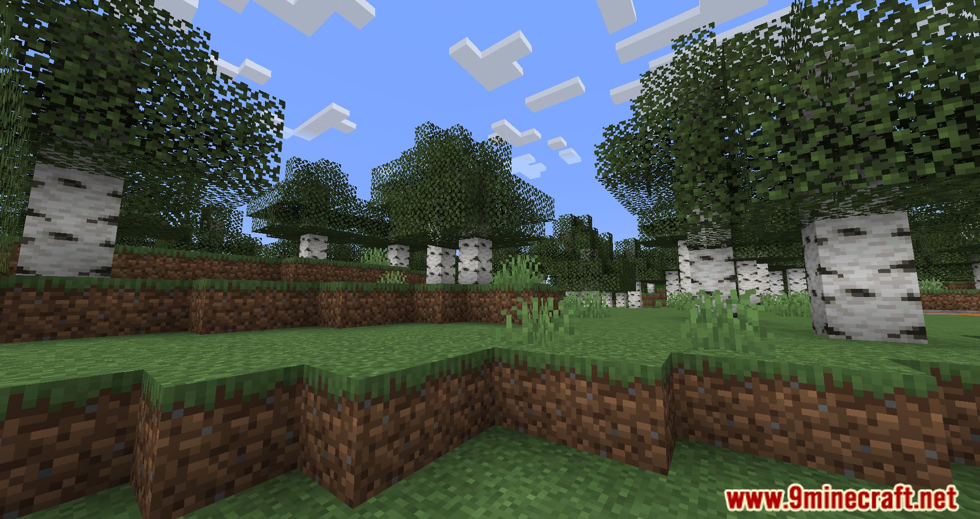 Cull Less Leaves Reforged Mod (1.20.2, 1.19.2) - Boosting Your Minecraft Visuals and Performance 8