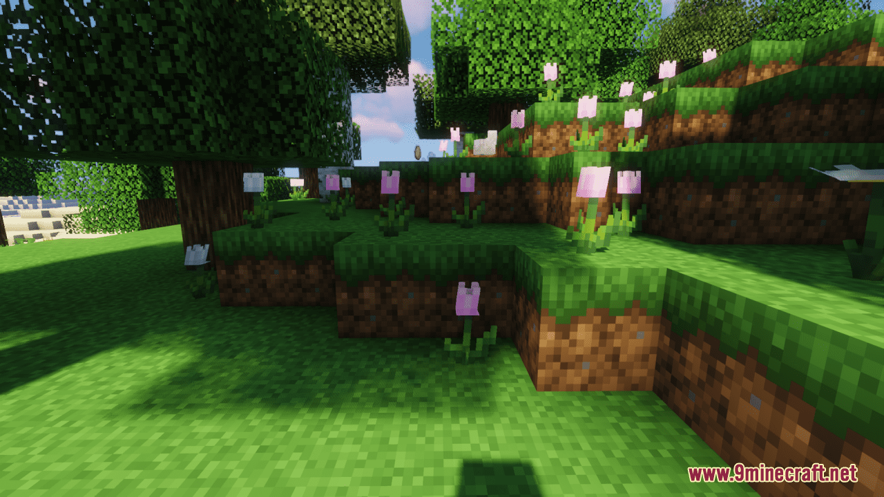 Evolved Resource Pack (1.20.6, 1.20.1) - Texture Pack 11