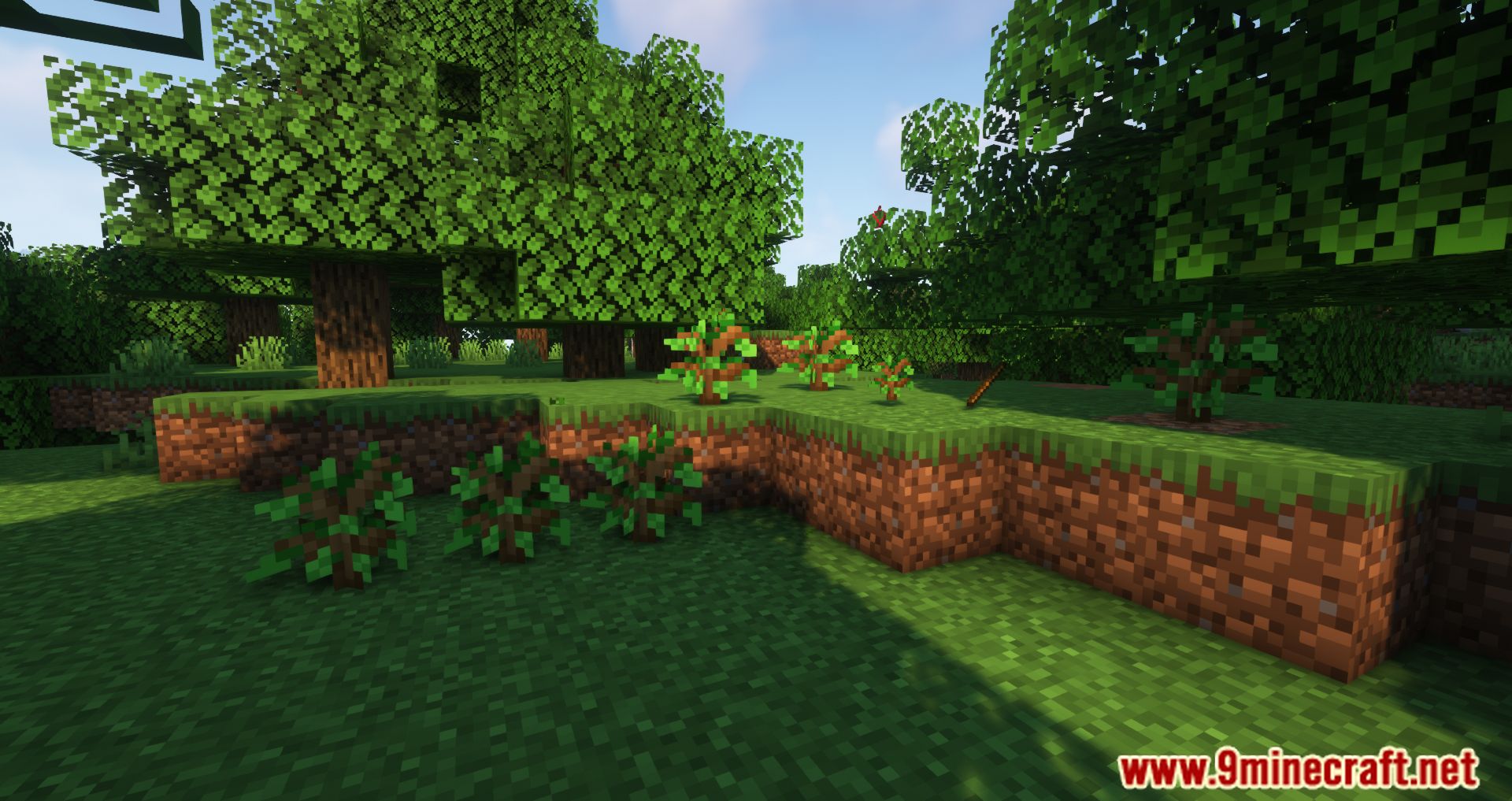 HT's TreePlant Mod (1.19.2, 1.18.2) - Nature's Automatic Gardener in Minecraft 11