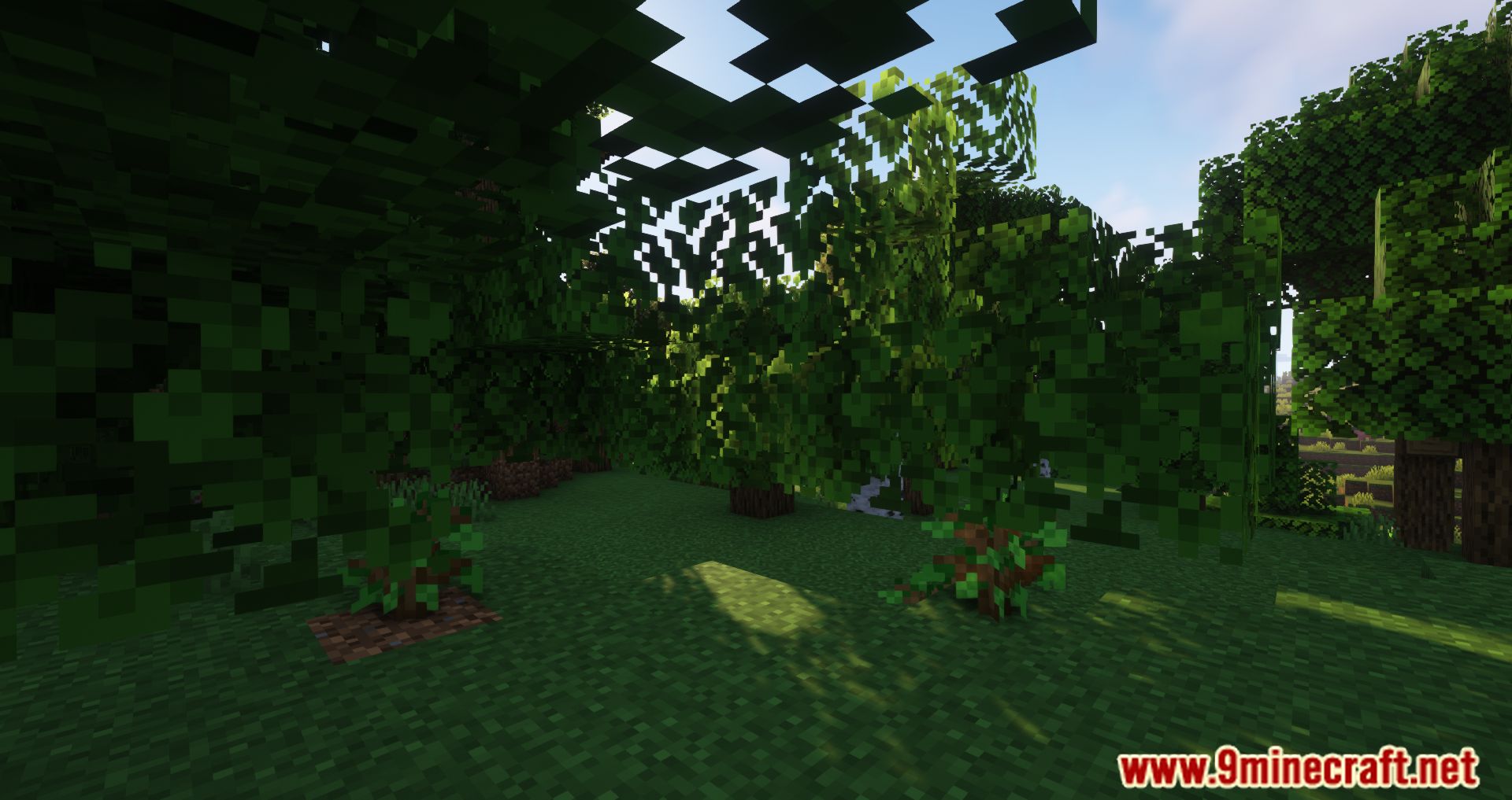 HT's TreePlant Mod (1.19.2, 1.18.2) - Nature's Automatic Gardener in Minecraft 10