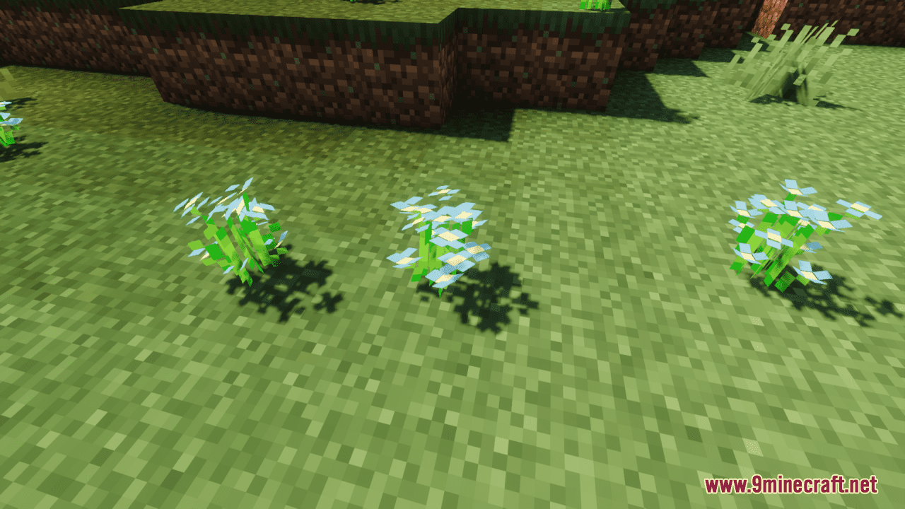 Haalina's Flora Exotica Resource Pack (1.20.6, 1.20.1) - Texture Pack 10