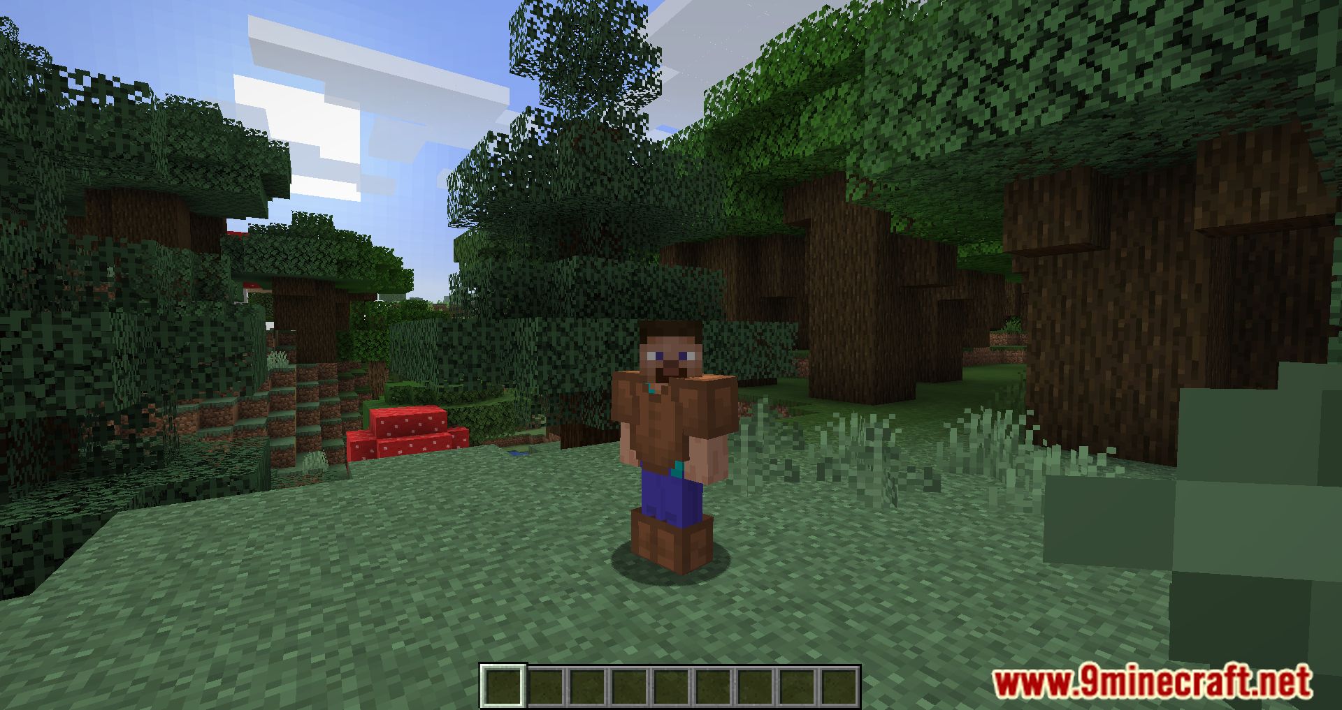 Hide Armor Mod (1.19.4, 1.16.5) - Concealment and Customization in Minecraft 6