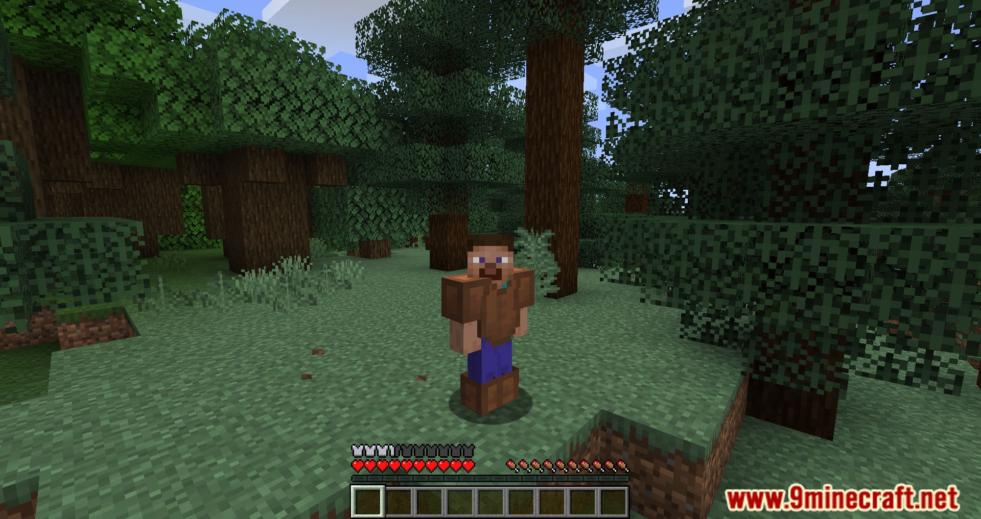 Hide Armor Mod (1.19.4, 1.16.5) - Concealment and Customization in Minecraft 7