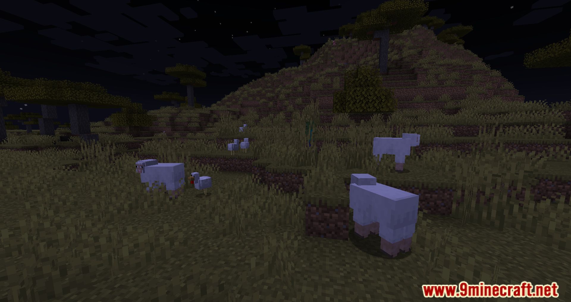 Mobs Properties Randomness Mod (1.20.1, 1.19.4) - Mob Metamorphosis 6