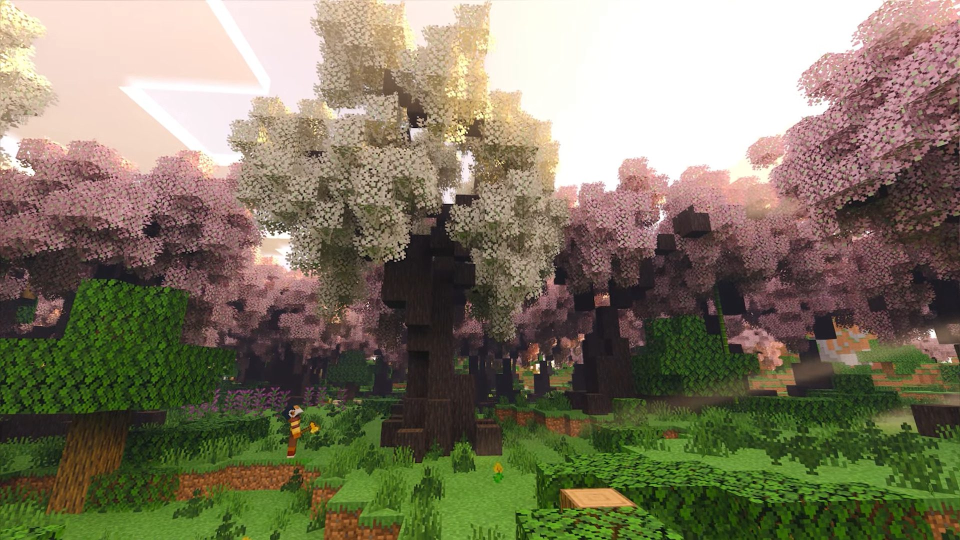 Nature's Spirit Addon (1.20) - MCPE/Bedrock RTX Mod 12