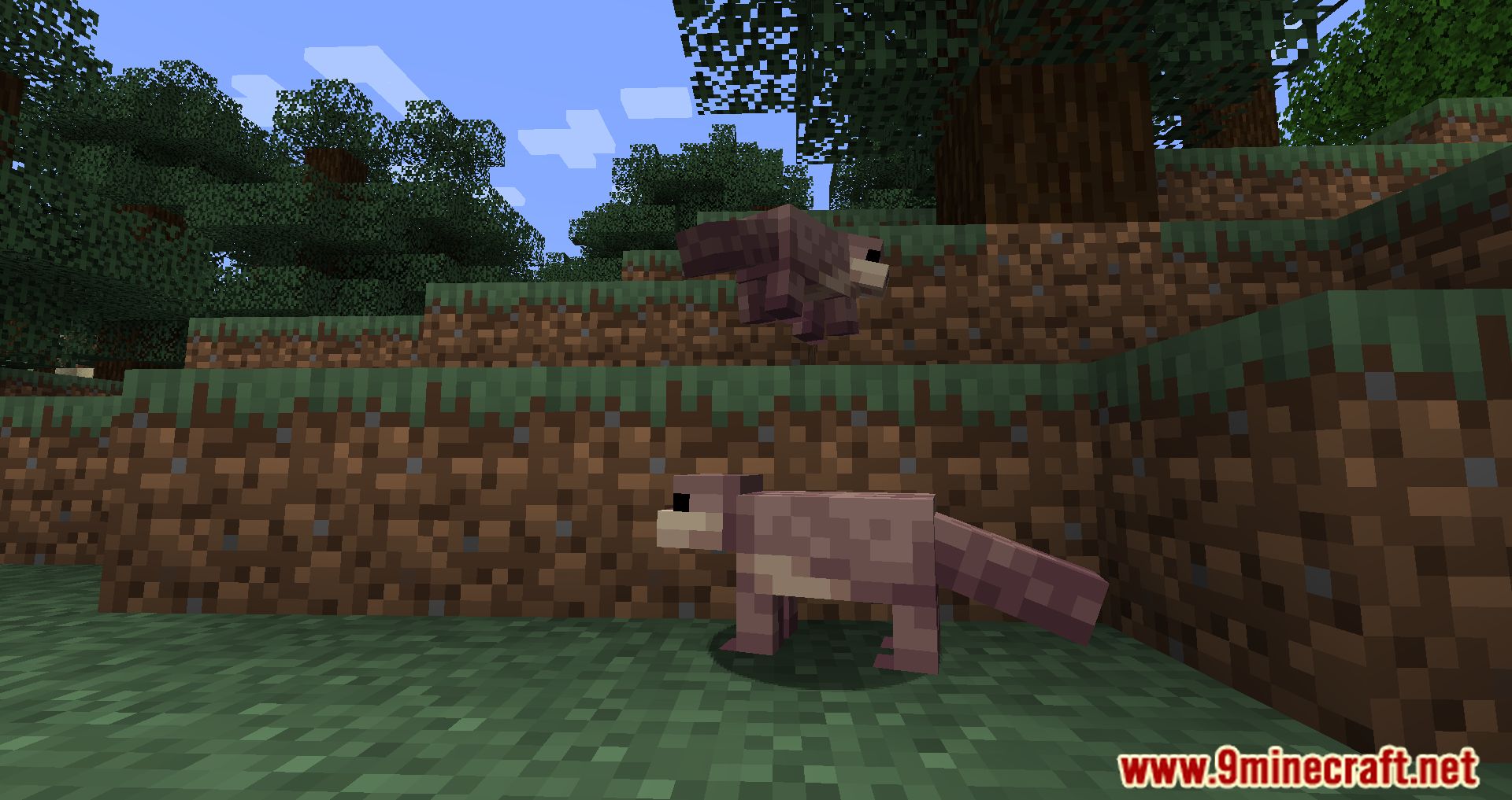 Ottah Mod (1.20, 1.19.4) - The Otterly Adorable Addition! 11