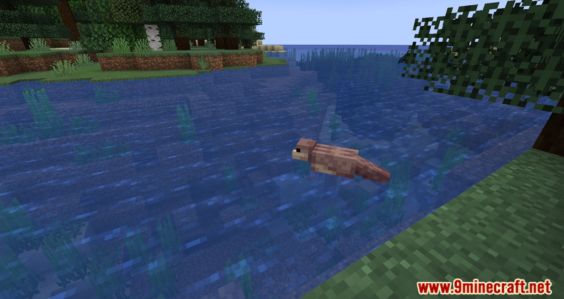 Ottah Mod (1.20, 1.19.4) - The Otterly Adorable Addition! 5