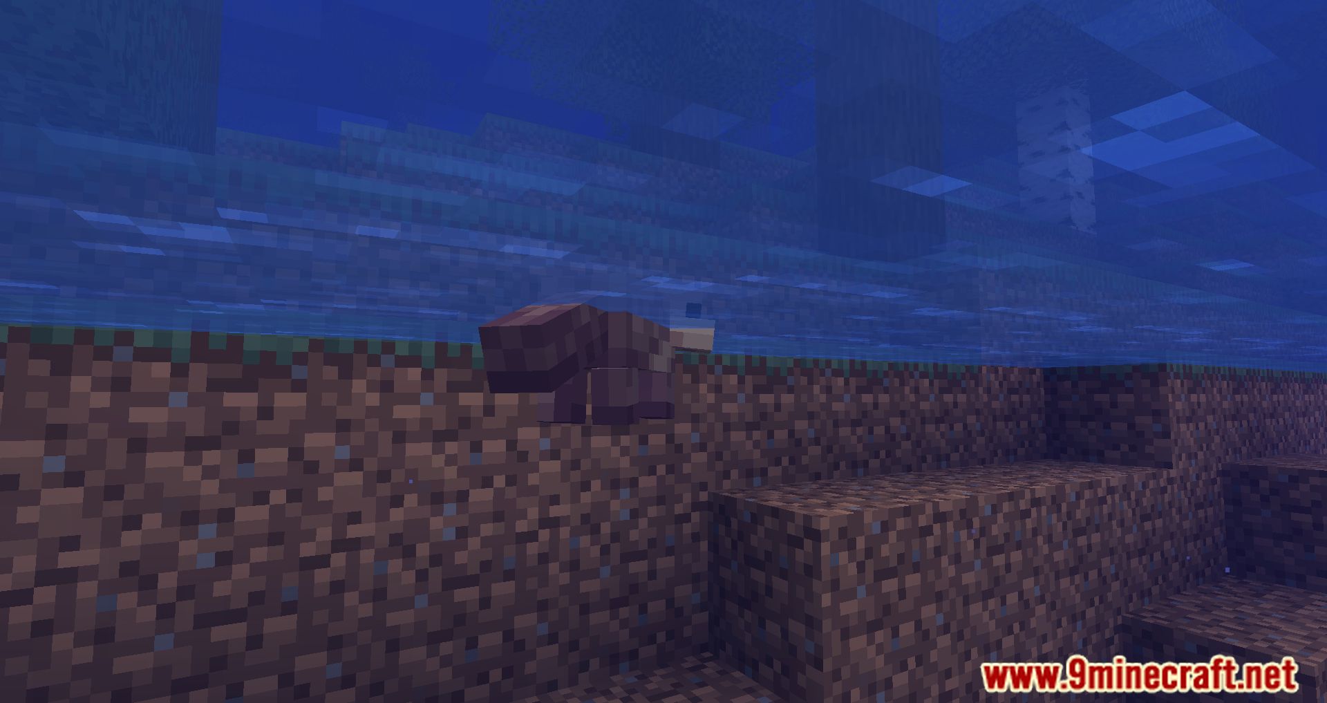 Ottah Mod (1.20, 1.19.4) - The Otterly Adorable Addition! 6