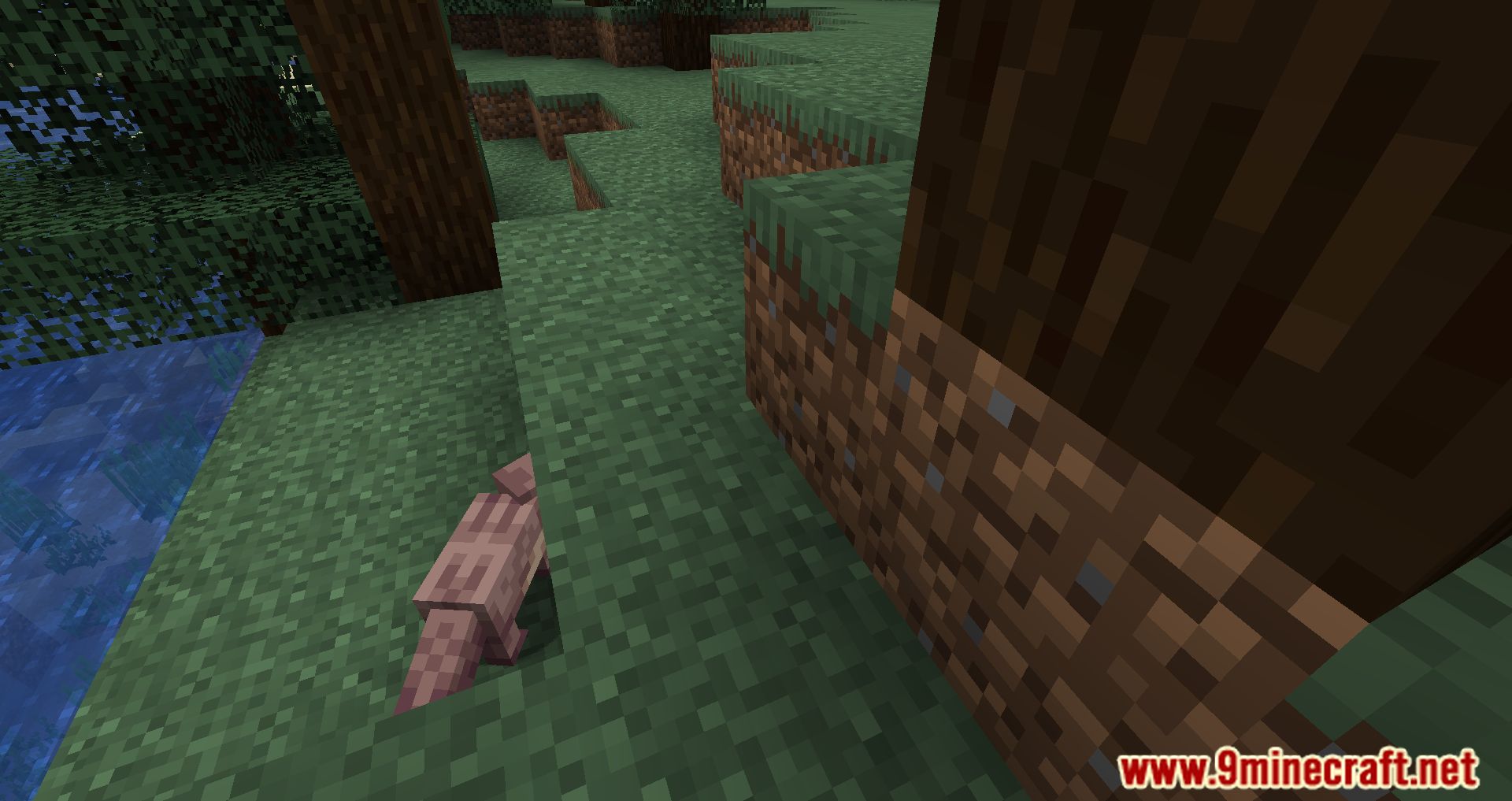 Ottah Mod (1.20, 1.19.4) - The Otterly Adorable Addition! 8