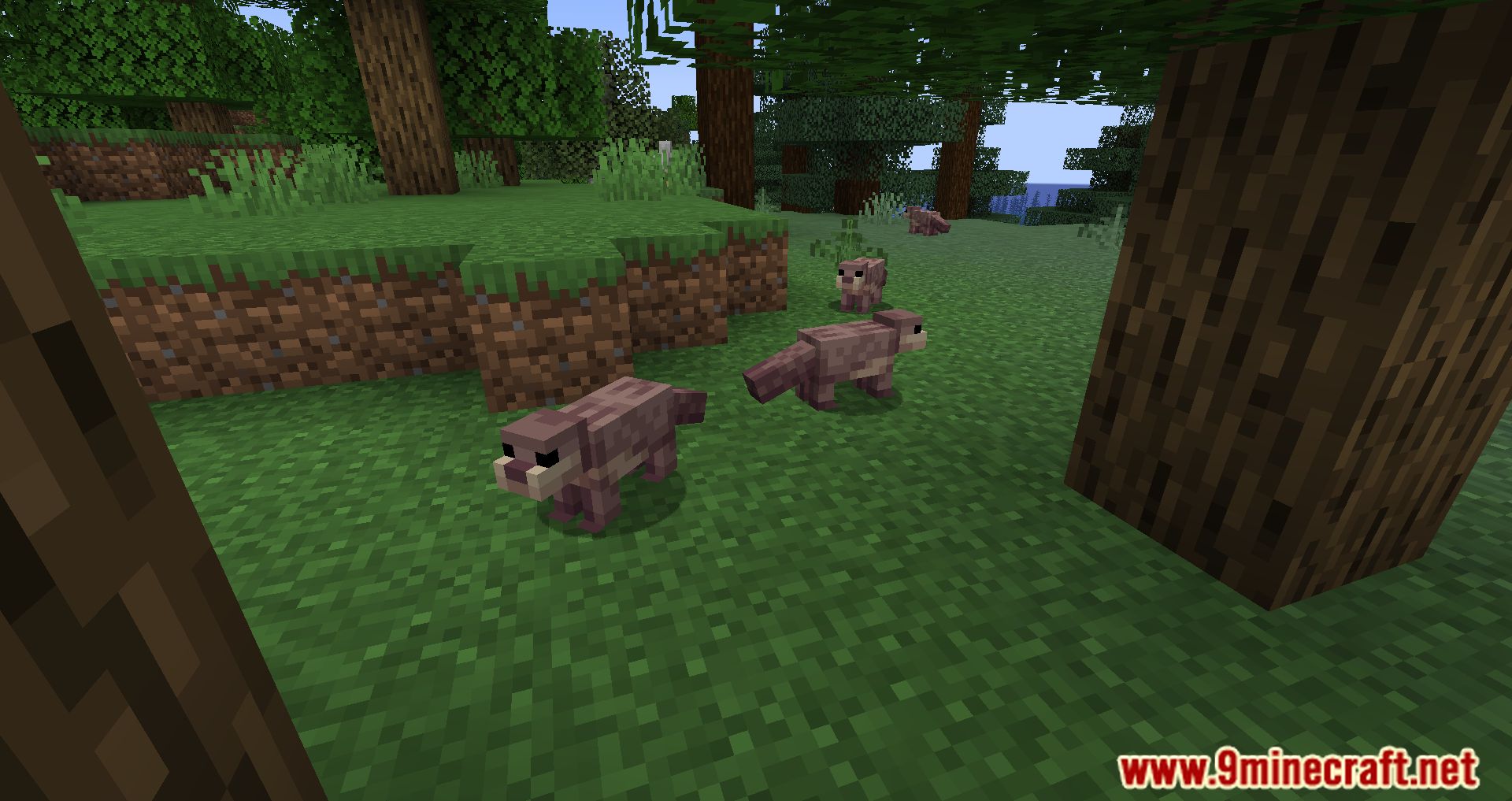 Ottah Mod (1.20, 1.19.4) - The Otterly Adorable Addition! 10