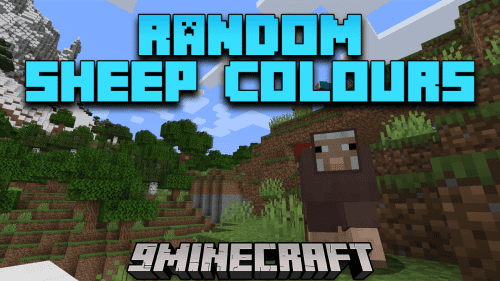 Random Sheep Colours Mod (1.20.4, 1.19.4) – A Splash of Color to Your Flock Thumbnail