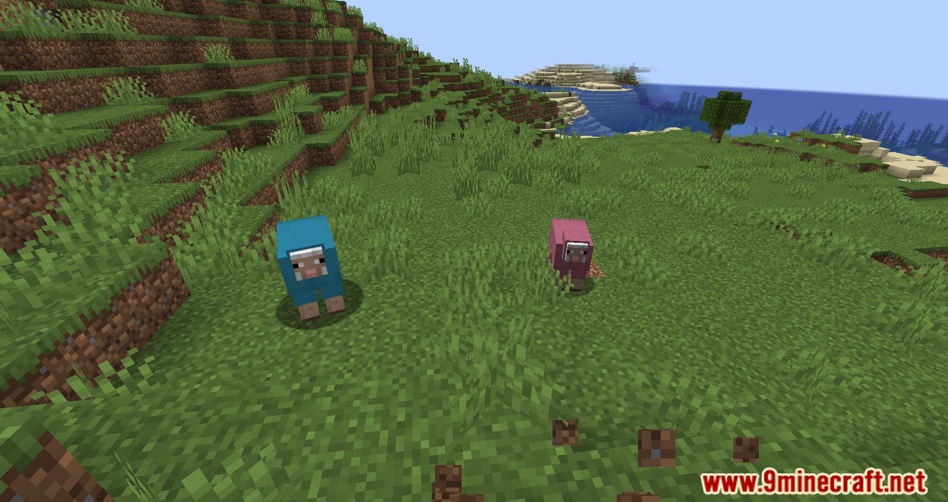 Random Sheep Colours Mod (1.20.4, 1.19.4) - A Splash of Color to Your Flock 11