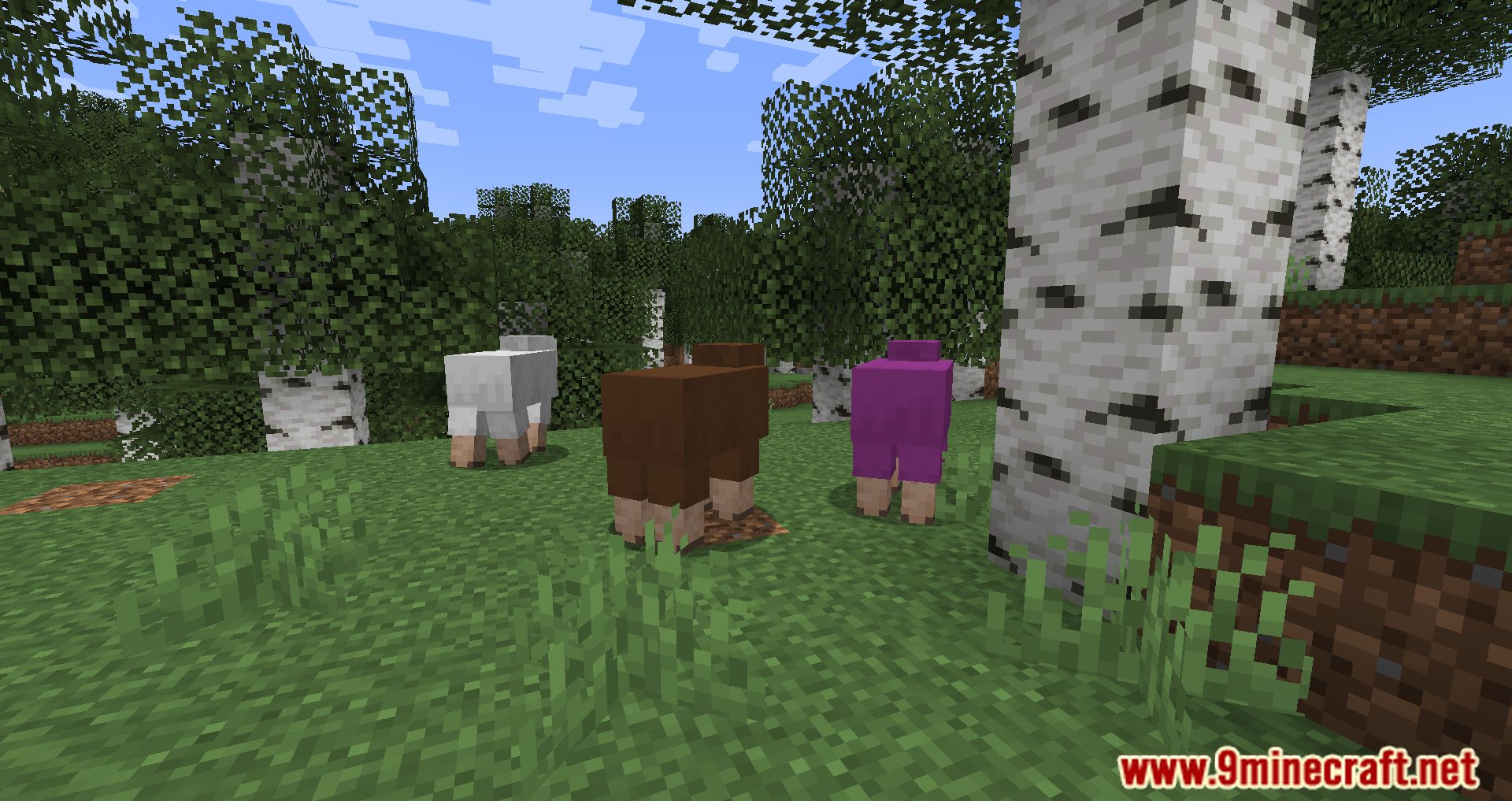 Random Sheep Colours Mod (1.20.4, 1.19.4) - A Splash of Color to Your Flock 3