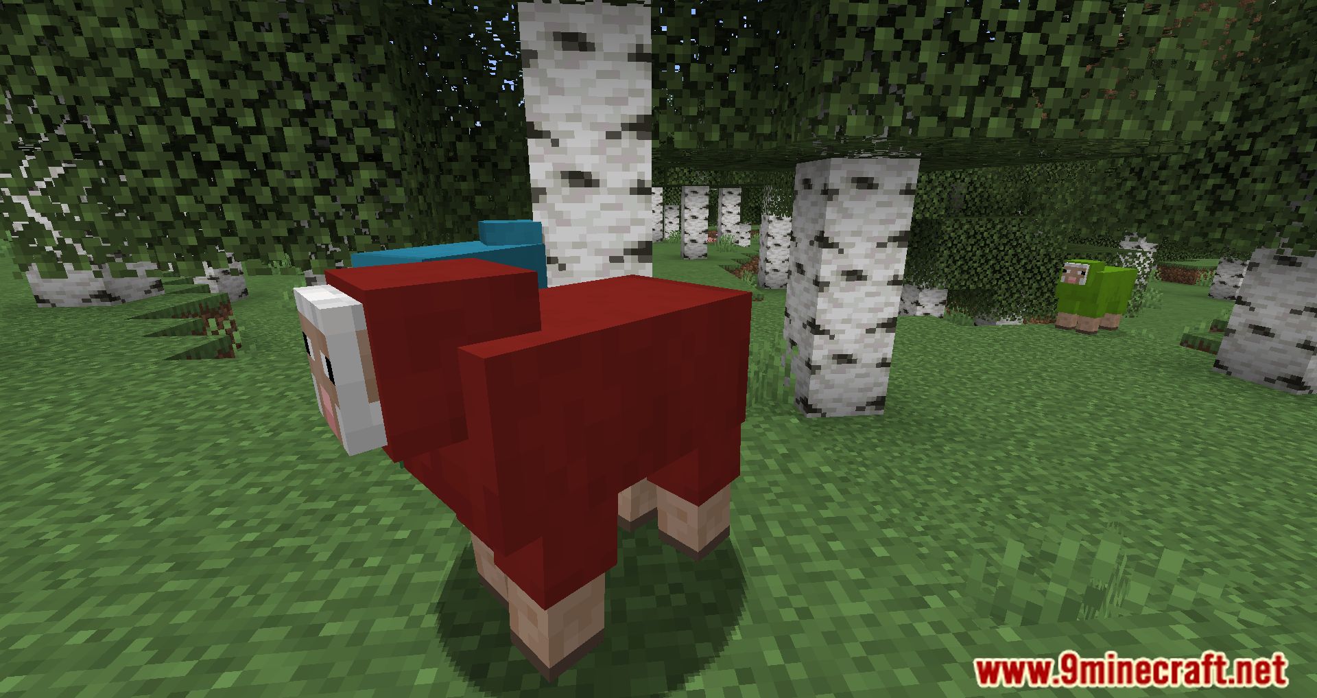 Random Sheep Colours Mod (1.20.4, 1.19.4) - A Splash of Color to Your Flock 4