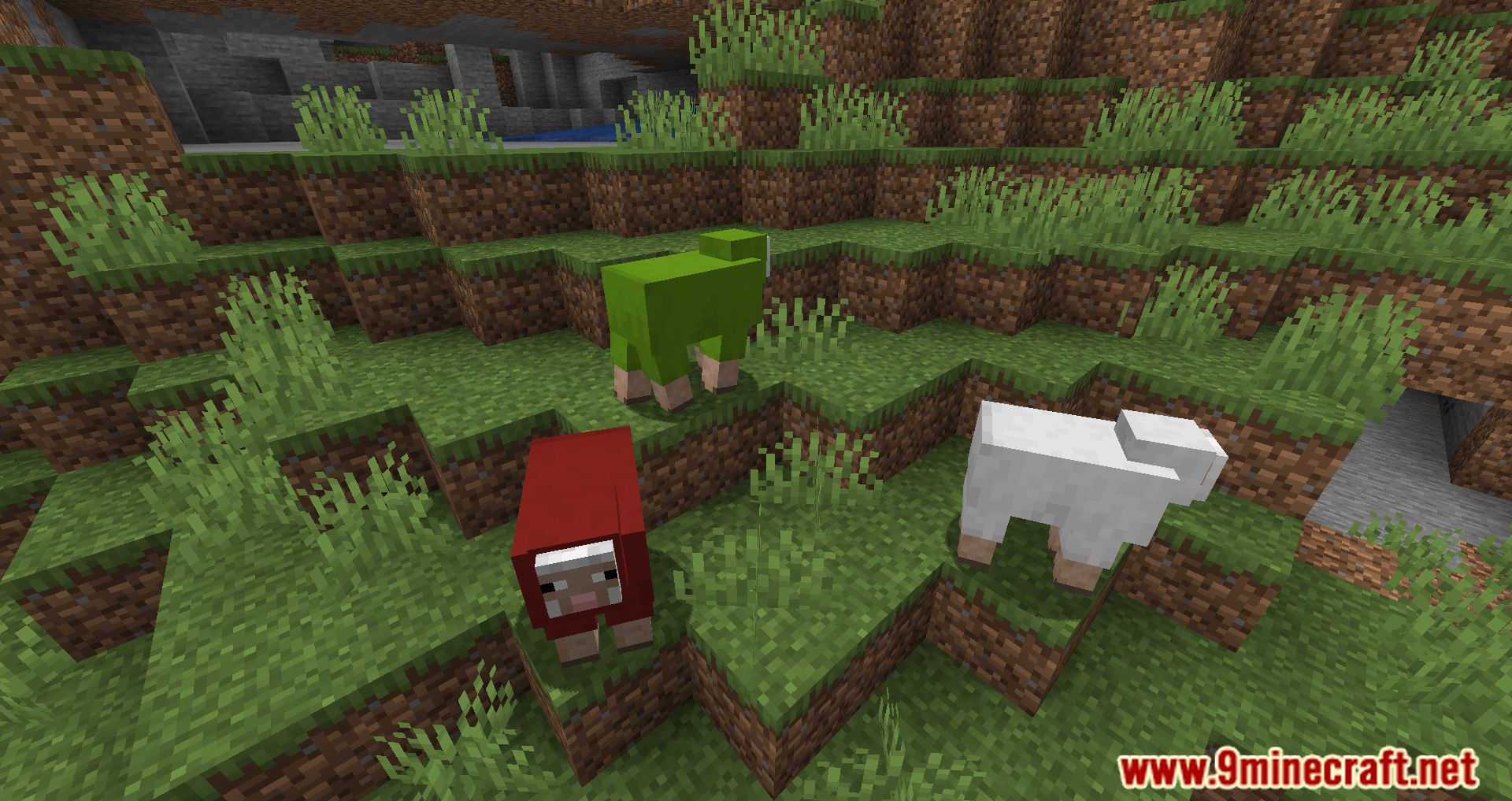 Random Sheep Colours Mod (1.20.4, 1.19.4) - A Splash of Color to Your Flock 9