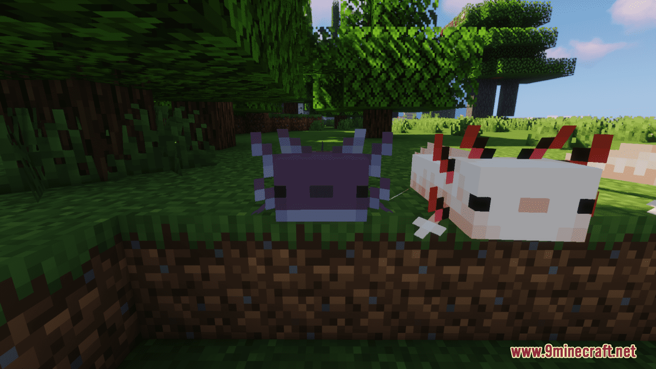 A'Lotl Axolotls Resource Pack (1.20.2, 1.19.4) - Texture Pack 11