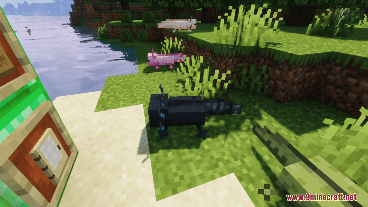 A'Lotl Axolotls Resource Pack (1.20.2, 1.19.4) - Texture Pack 16