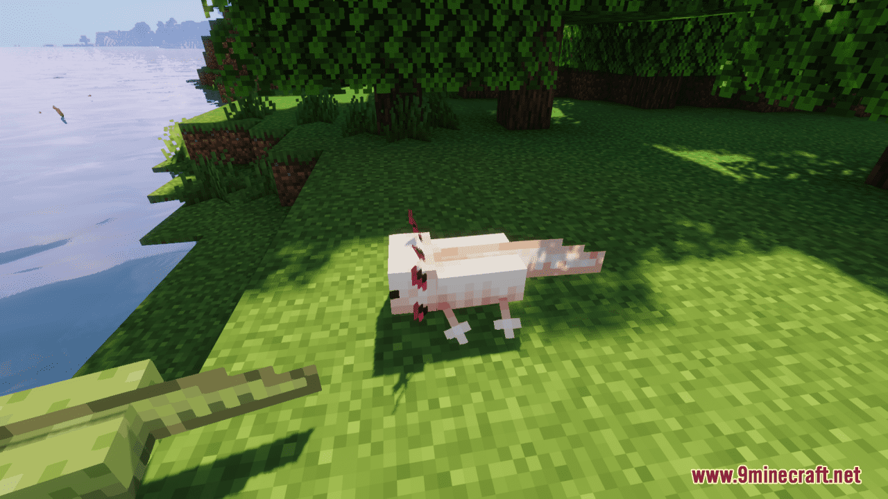 A'Lotl Axolotls Resource Pack (1.20.2, 1.19.4) - Texture Pack 9