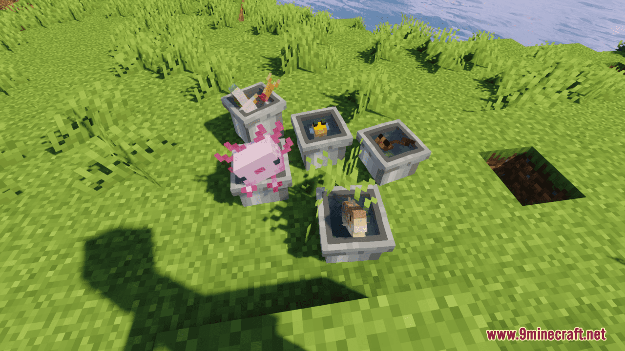 Alittl Axolotl & Friends Resource Pack (1.20.6, 1.20.1) - Texture Pack 12