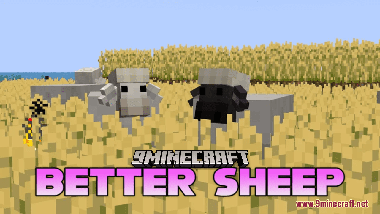 Better Sheep Resource Pack (1.20.6, 1.20.1) - Texture Pack 1