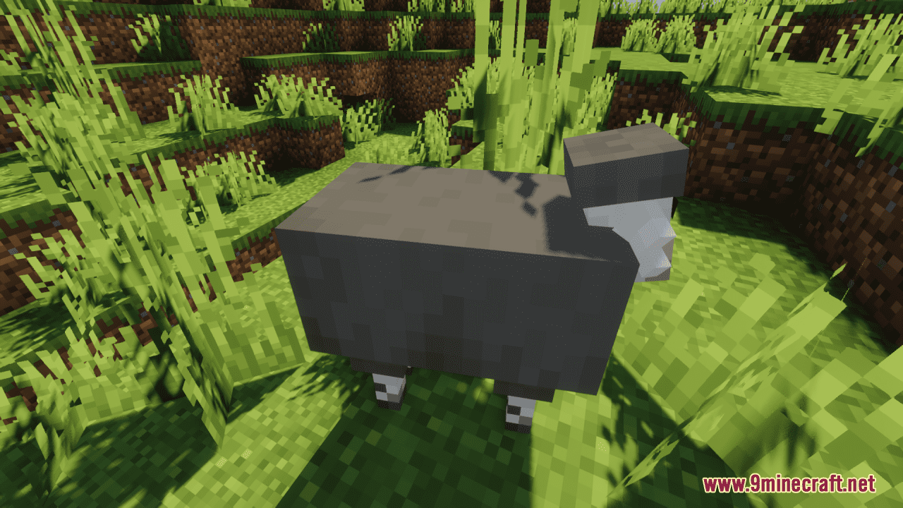 Better Sheep Resource Pack (1.20.6, 1.20.1) - Texture Pack 7