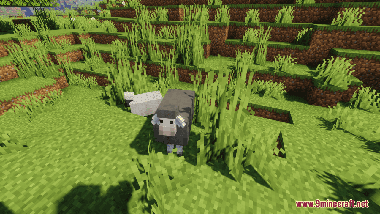 Better Sheep Resource Pack (1.20.6, 1.20.1) - Texture Pack 8