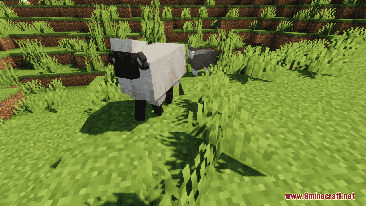 Better Sheep Resource Pack (1.20.6, 1.20.1) - Texture Pack 9