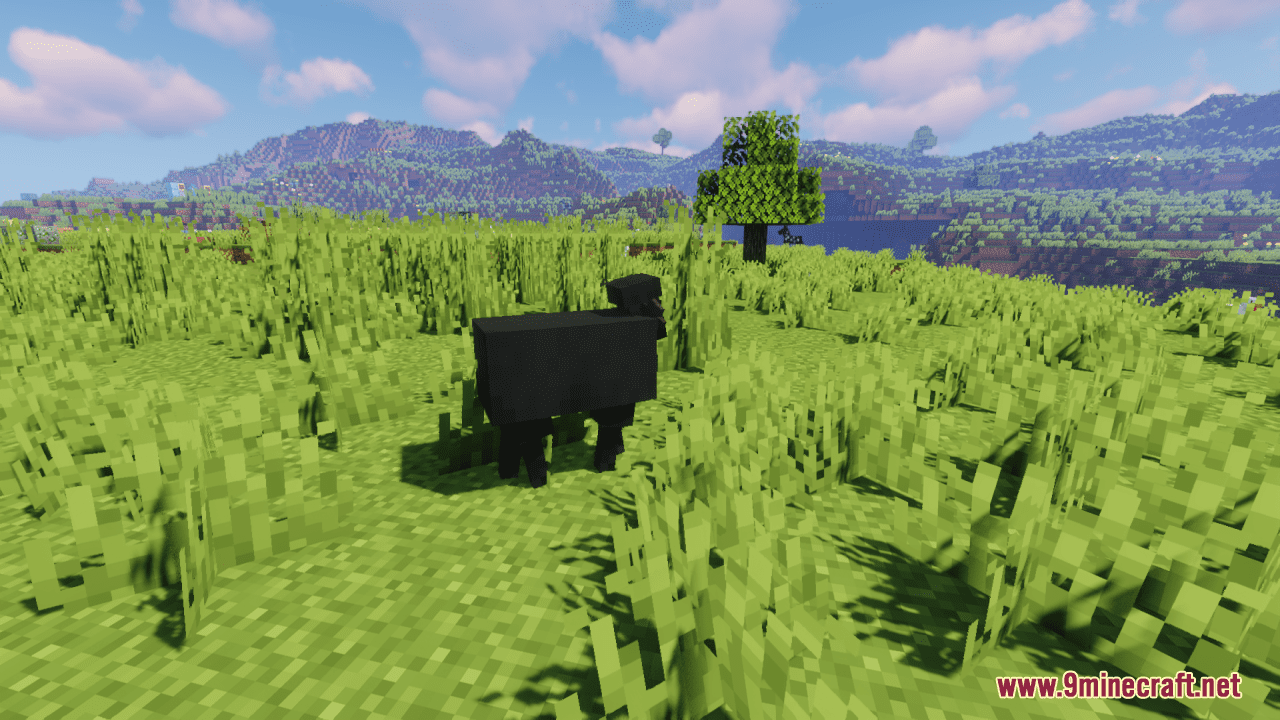 Better Sheep Resource Pack (1.20.6, 1.20.1) - Texture Pack 10