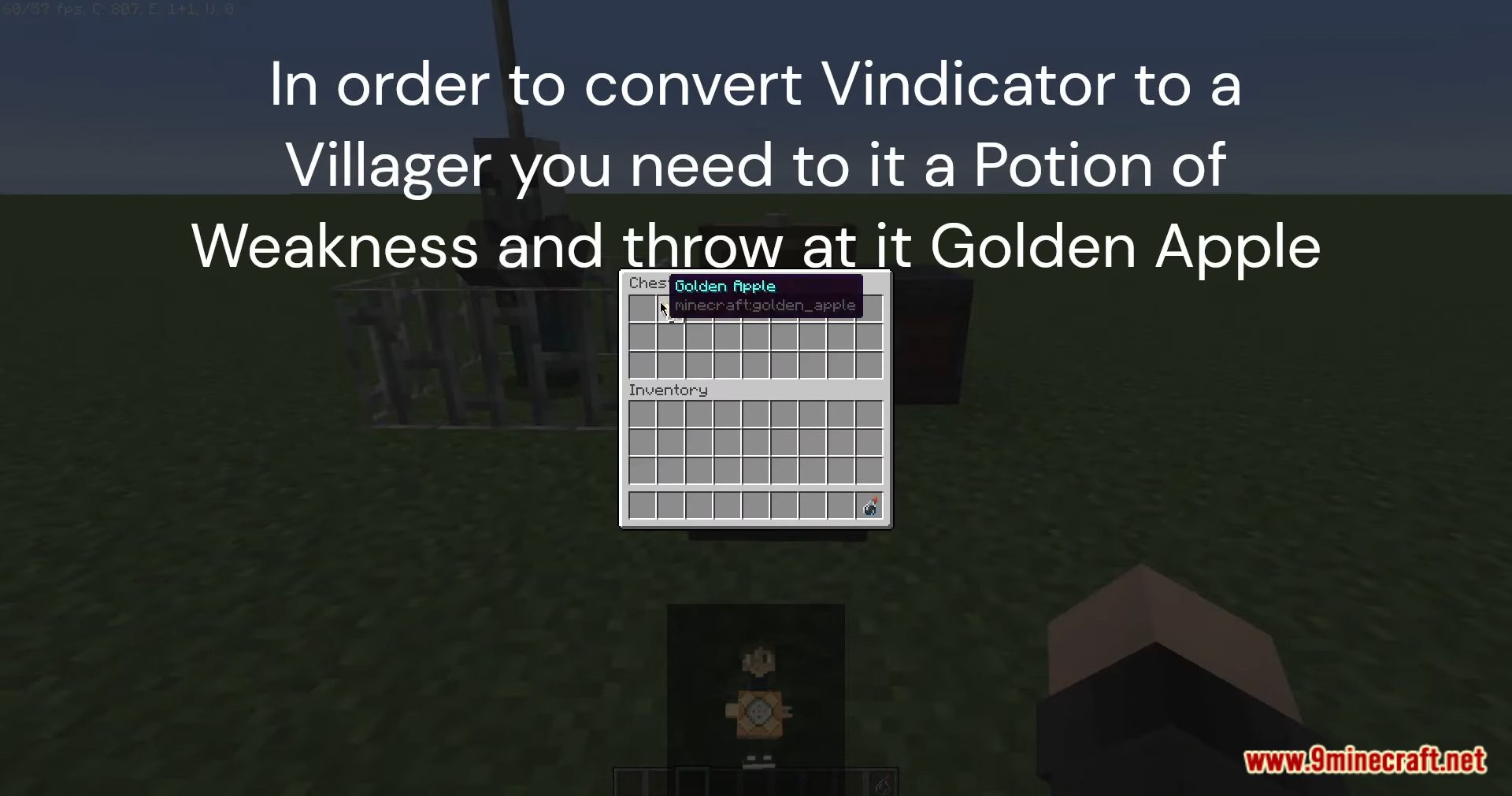 Curable Vindicators Data Pack (1.20.2, 1.19.4) - Transform Vindicators In Minecraft! 9