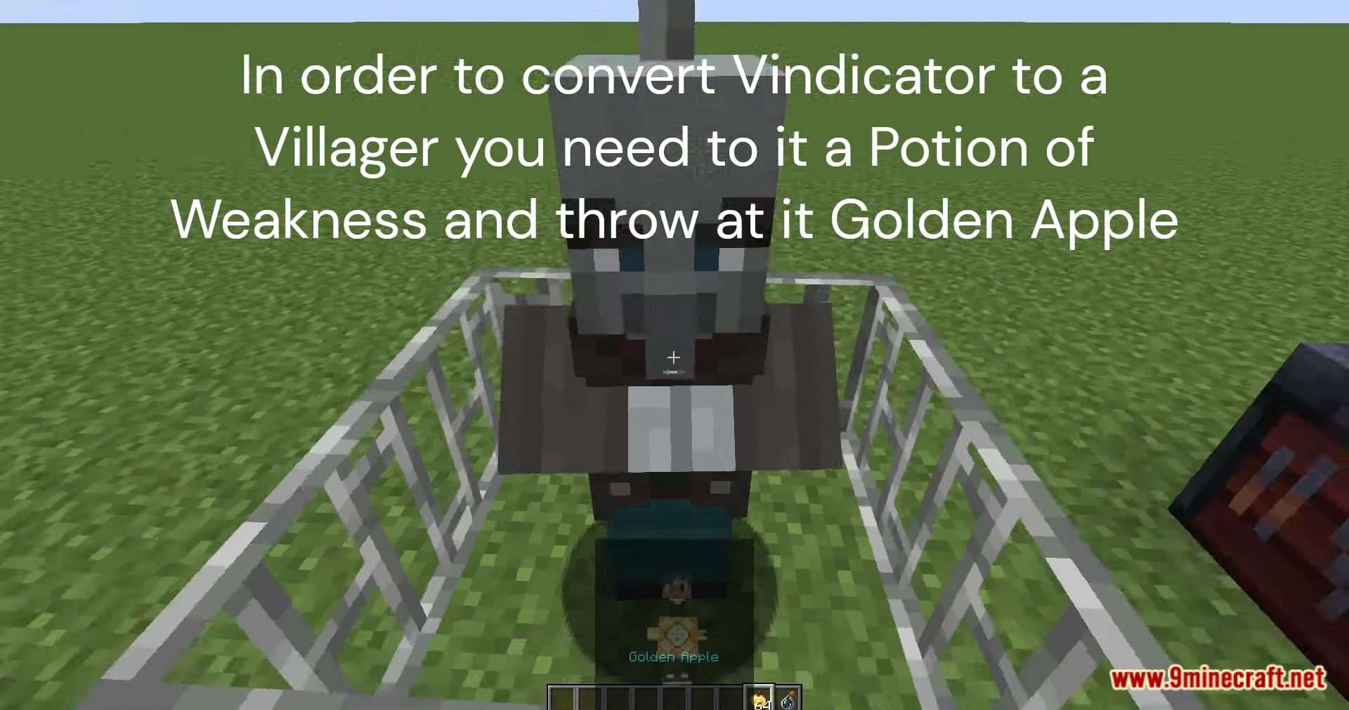 Curable Vindicators Data Pack (1.20.2, 1.19.4) - Transform Vindicators In Minecraft! 10