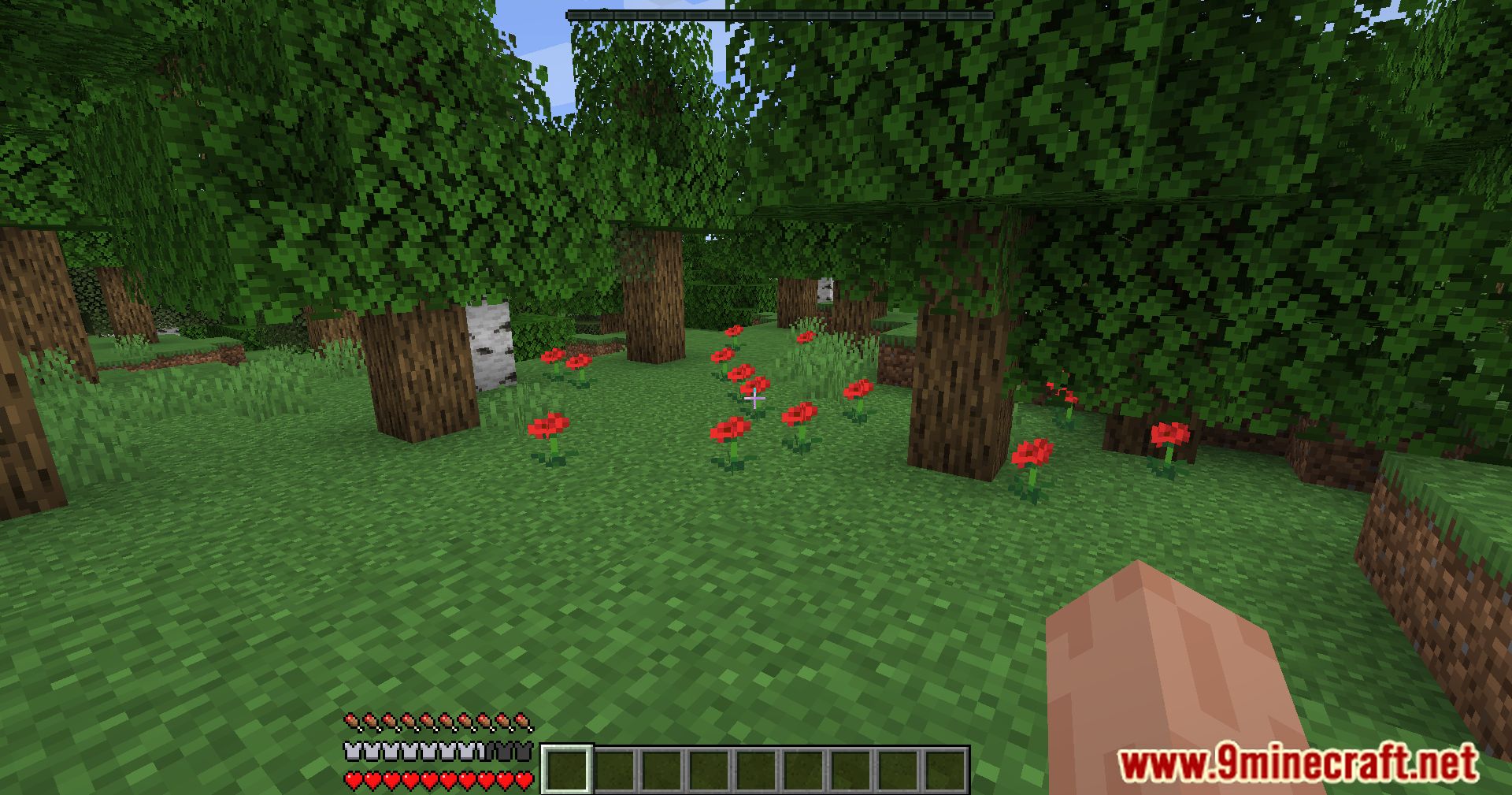 HUDTweaks Mod (1.18.1, 1.16.5) - Simplifies Your HUD 9