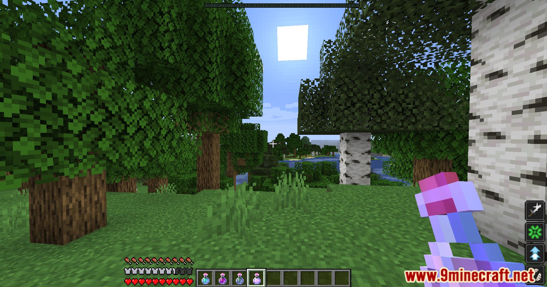 HUDTweaks Mod (1.18.1, 1.16.5) - Simplifies Your HUD 12