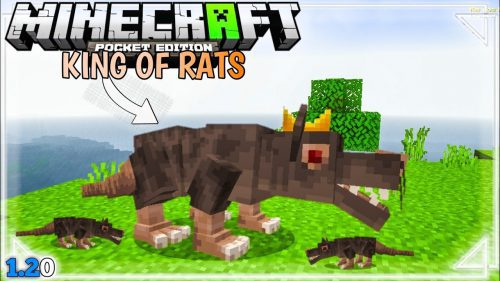 King of Rats Addon (1.20, 1.19) – MCPE/Bedrock Mod Thumbnail