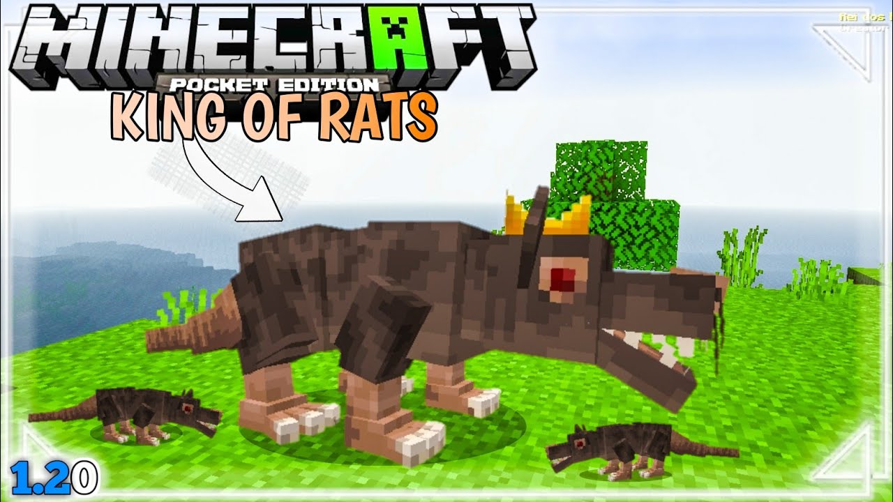 King of Rats Addon (1.20, 1.19) - MCPE/Bedrock Mod 1