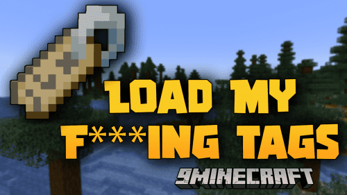 LMFT Mod (1.20.4, 1.19.4) – Load My F***ing Tags Thumbnail