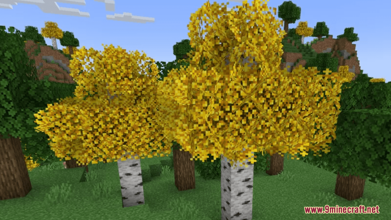 Melody's Yellow Birch Resource Pack (1.20.6, 1.20.1) - Texture Pack 12