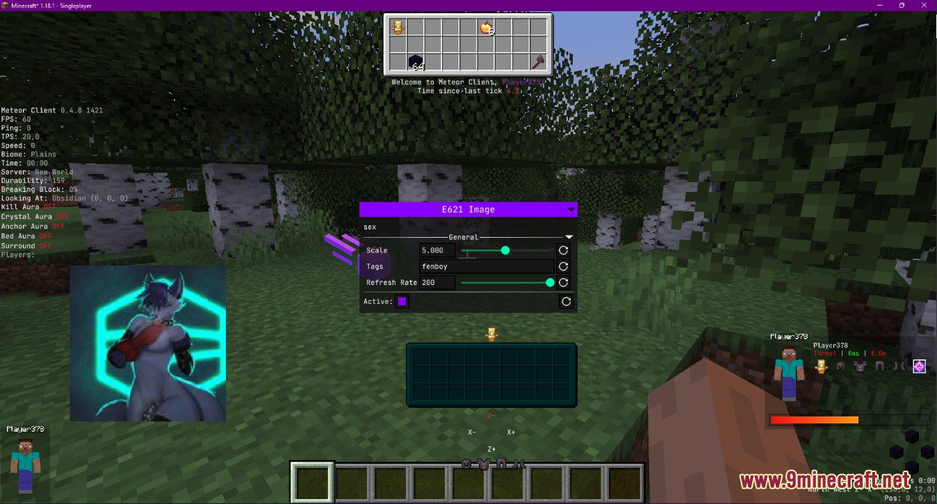 Meteor Client Addons (1.20.4, 1.19.4) - Modify Almost Anything in Meteor 2
