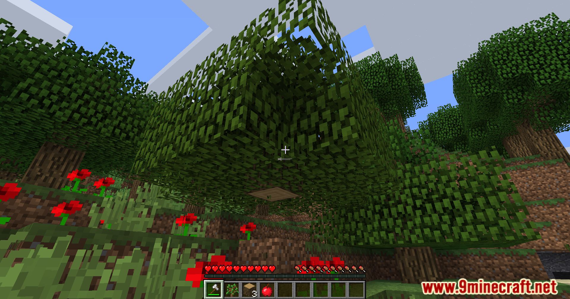 MrDuchy's Tree Chopper Mod (1.12.2) - Chop Down Entire Forests 4