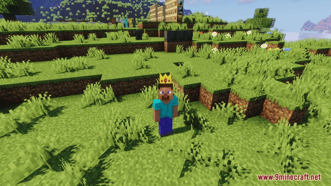 Patri's Adventure Time Crowns Resource Pack (1.20.6, 1.20.1) - Texture Pack 7