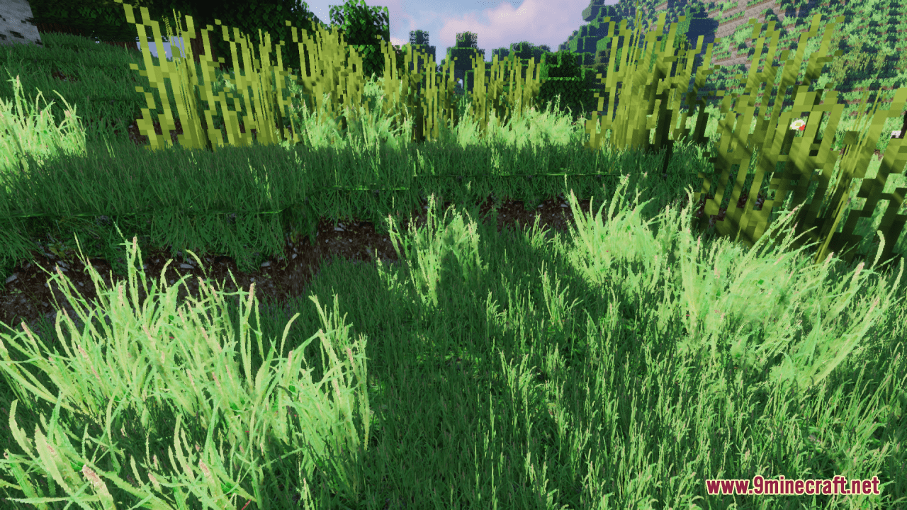 Realistic Grass Resource Pack (1.20.6, 1.20.1) - Texture Pack 6