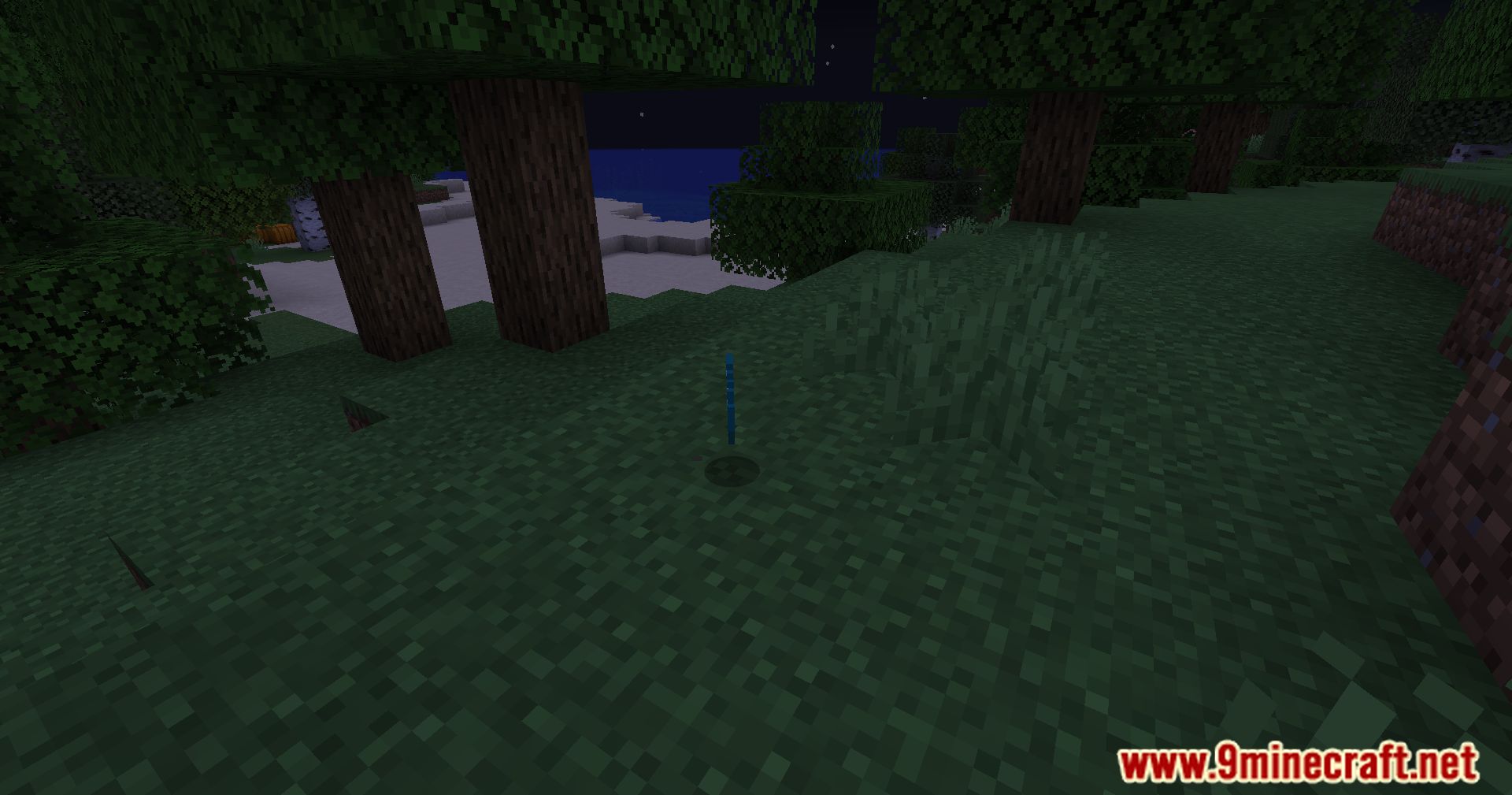 Sparkle! Mod (1.20.1, 1.19.1) - Shine Bright 3