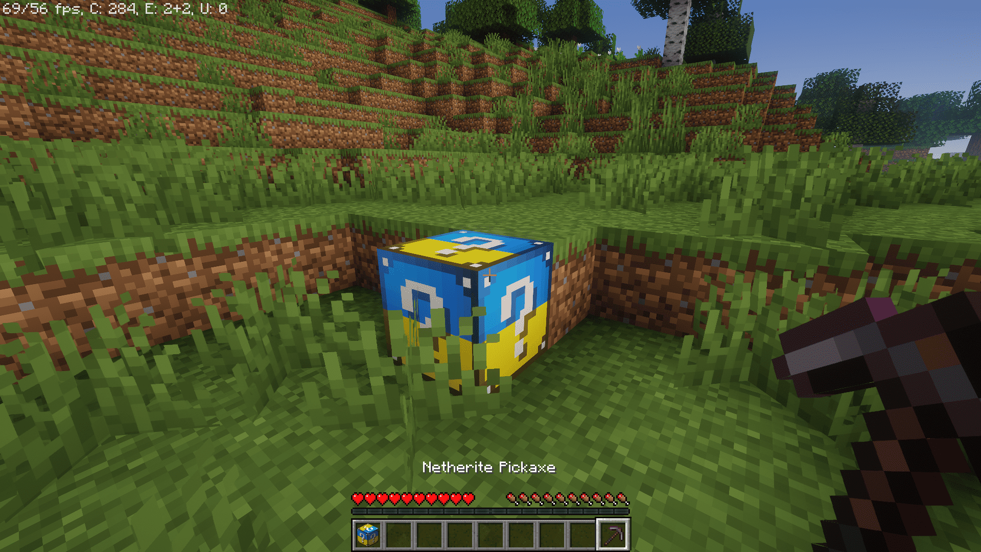 Ukrainian Lucky Block Mod (1.18.2) - 100+ Drops! 9