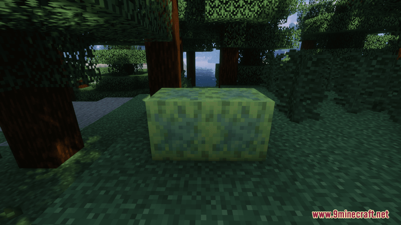 Wetter Sponge Resource Pack (1.20.6, 1.20.1) - Texture Pack 7