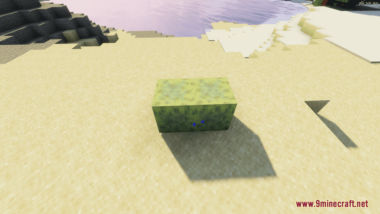 Wetter Sponge Resource Pack (1.20.6, 1.20.1) - Texture Pack 8