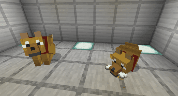 Wolves+ Addon (1.20) - MCPE/Bedrock Mod 24