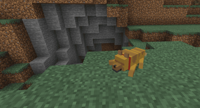 Wolves+ Addon (1.20) - MCPE/Bedrock Mod 41