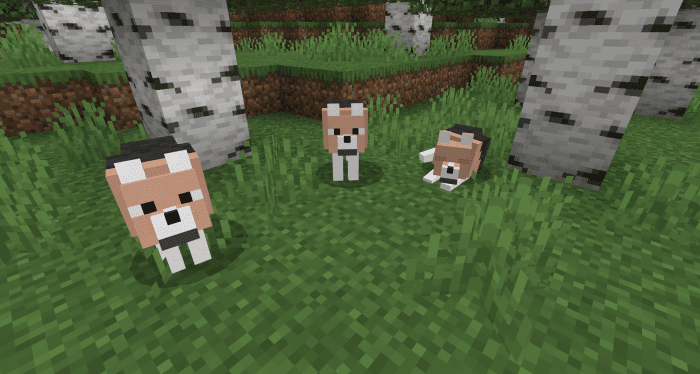 Wolves+ Addon (1.20) - MCPE/Bedrock Mod 8