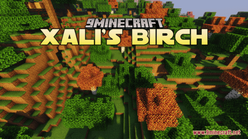 Xali’s Birch Resource Pack (111206, 201) – Texture Pack Thumbnail